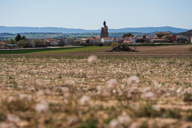 Conoce Castilla-La Mancha-‘Me voy de Erasmus Rural a Alcocer’